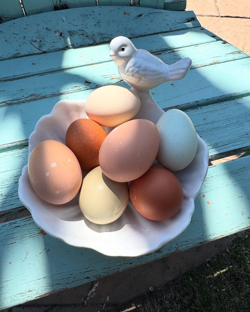 Unique Egg Characteristics
