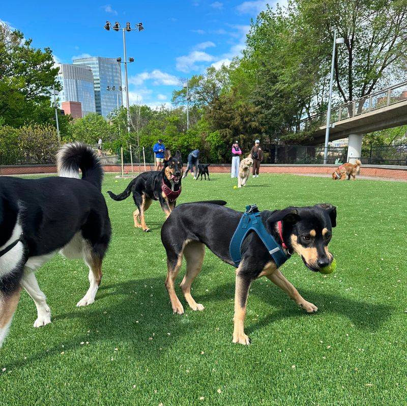 Schuylkill River Park, Philadelphia