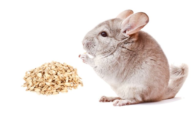 Oats