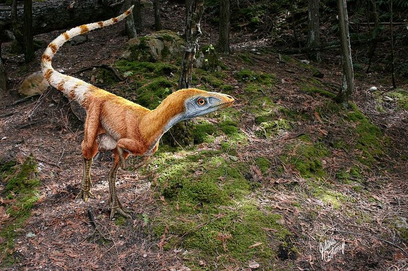 Sinosauropteryx
