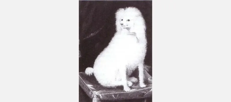 Boy (or Boye) (1640s)