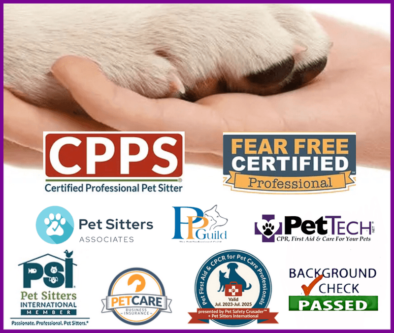 Verify Insurance and Certifications