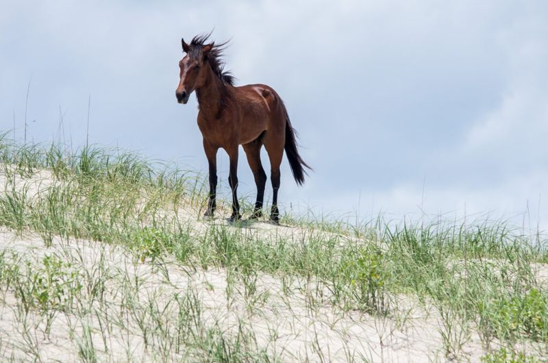 Outer Banks, North Carolina