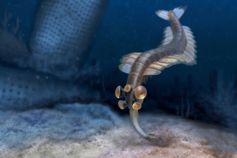 Opabinia
