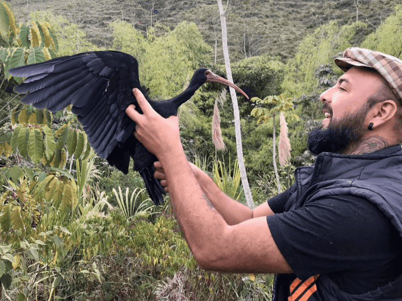 Support Wildlife-friendly Policies