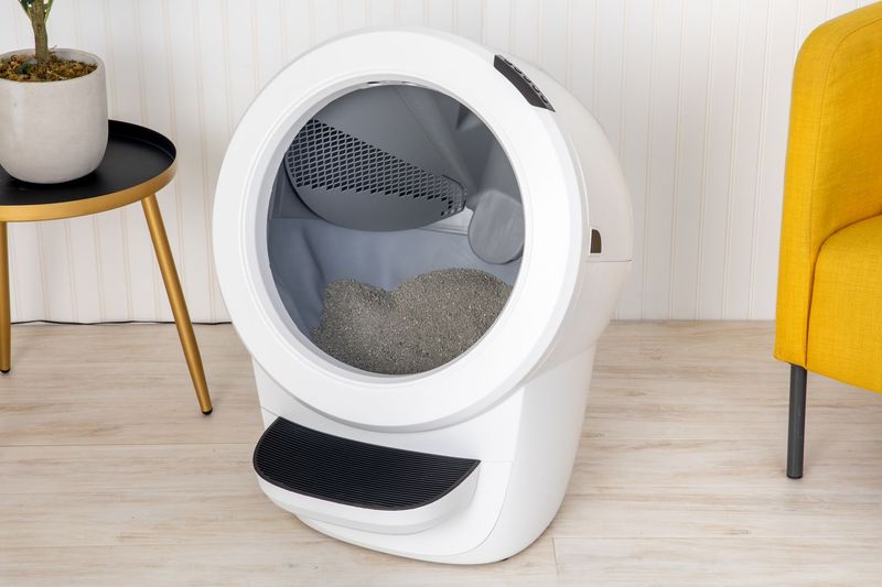 Automatic Litter Box: Cost