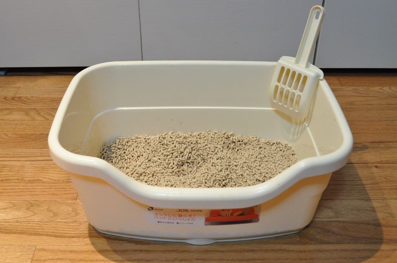 Regular Litter Box: Customization
