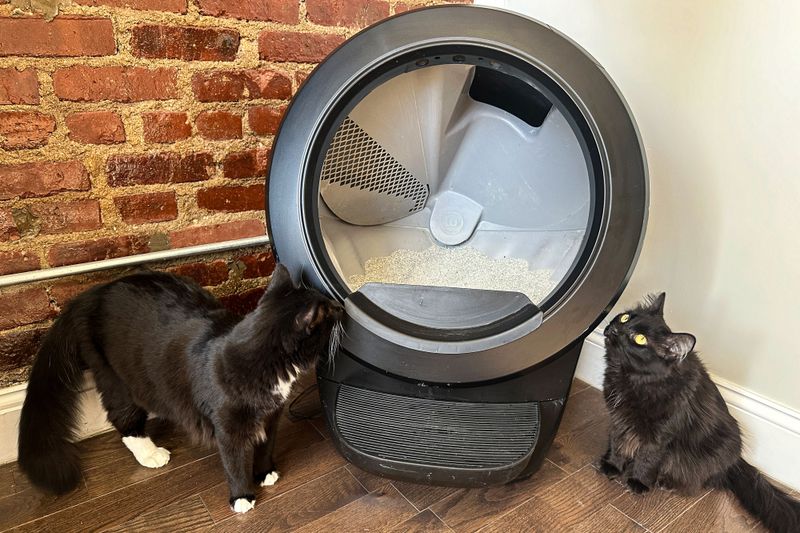 Automatic Litter Box: Noise Level