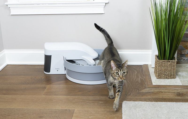 Automatic Litter Box: Convenience