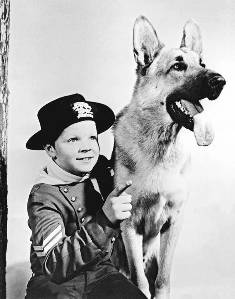 Rin Tin Tin