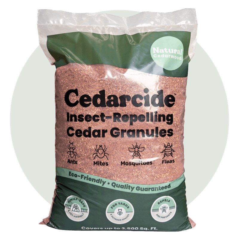 Cedarwood