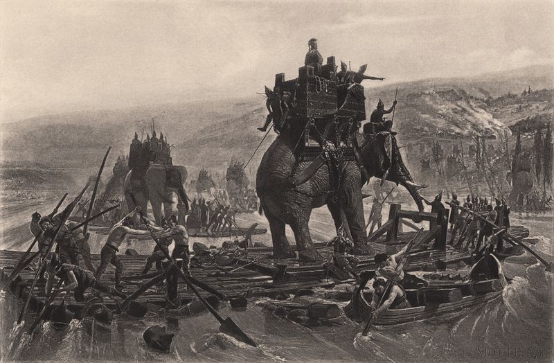 Elephant