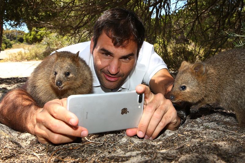 Quokkas