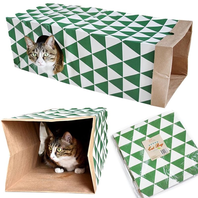 Paper Bag Hideout