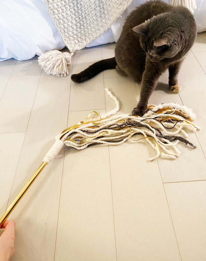 Wand with Ribbons