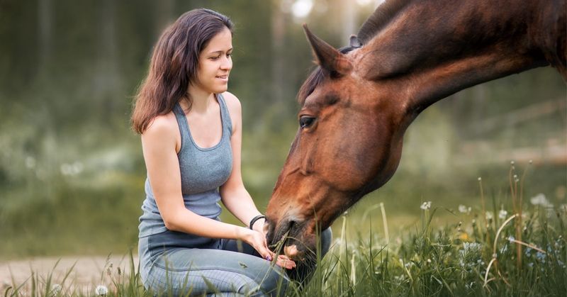 Horses