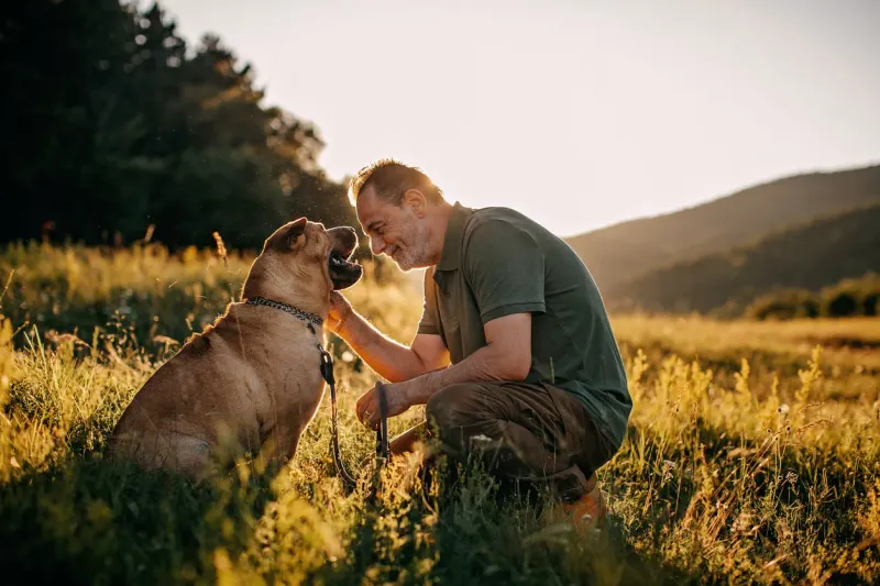 Dogs' Loyalty Limits