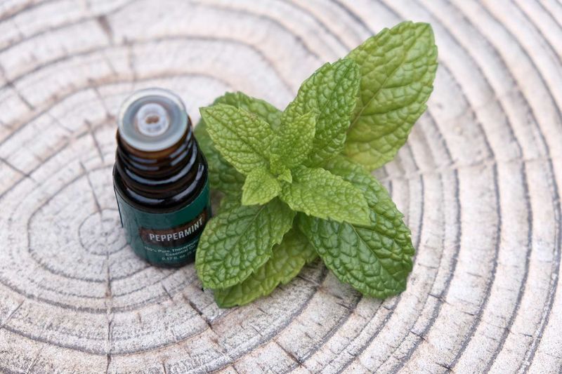 Mint