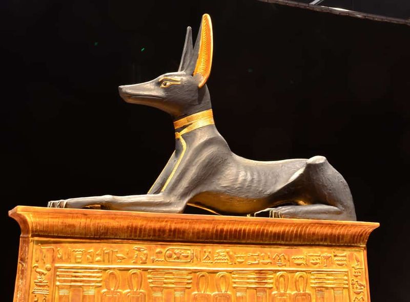 Symbols of Status