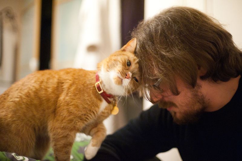 Expressing Affection