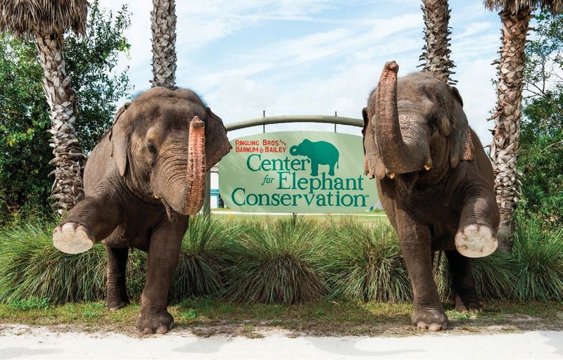 Conservation Heroes