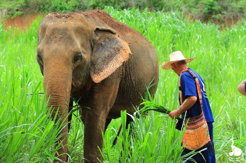Conservation Ambassadors