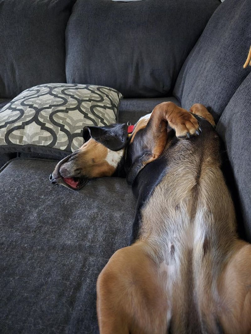 Unusual Sleeping Patterns