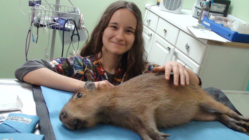 Veterinary Care