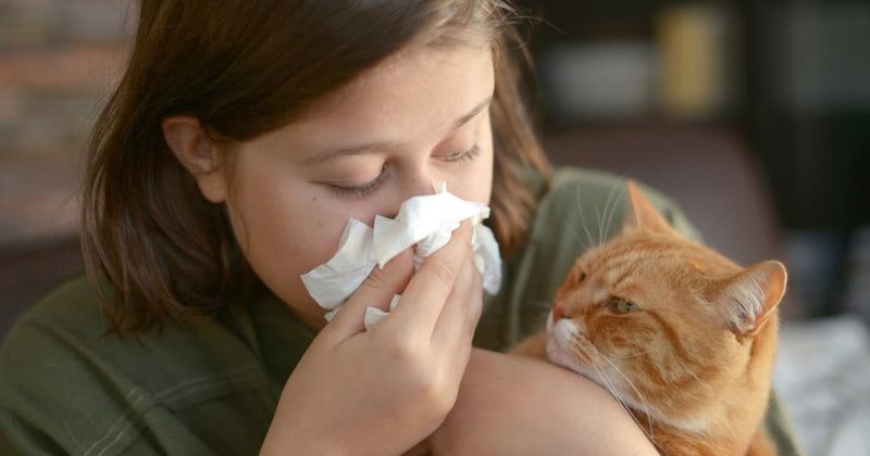 Potential Allergies