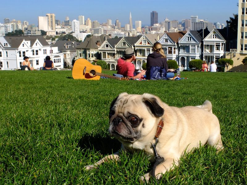 Alamo Square Park, San Francisco
