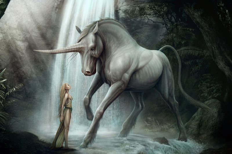 Unicorn