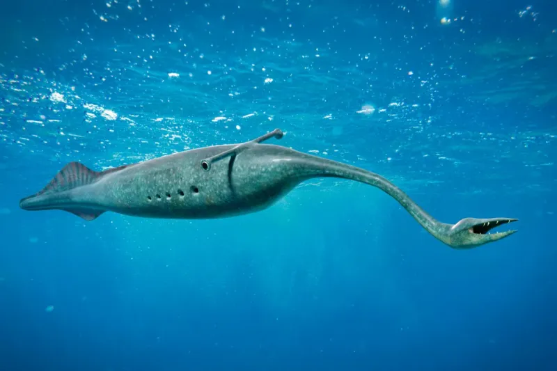 Tullimonstrum (Tully Monster)