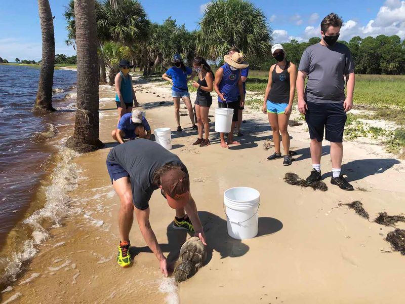 Participate in Citizen Science Projects