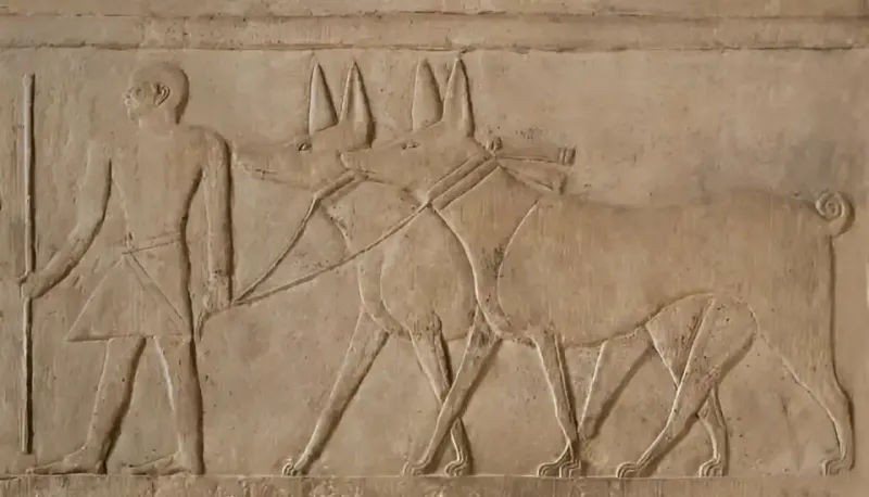 Guardians of Artifacts