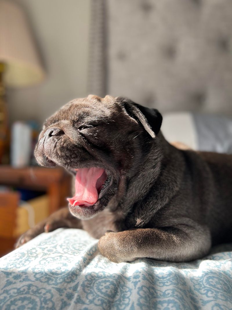 Yawning Frequently