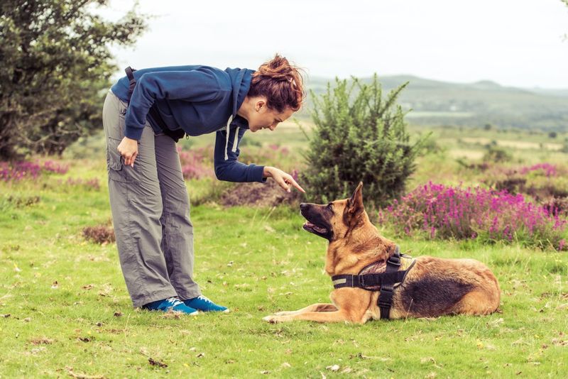 Positive Reinforcement Training