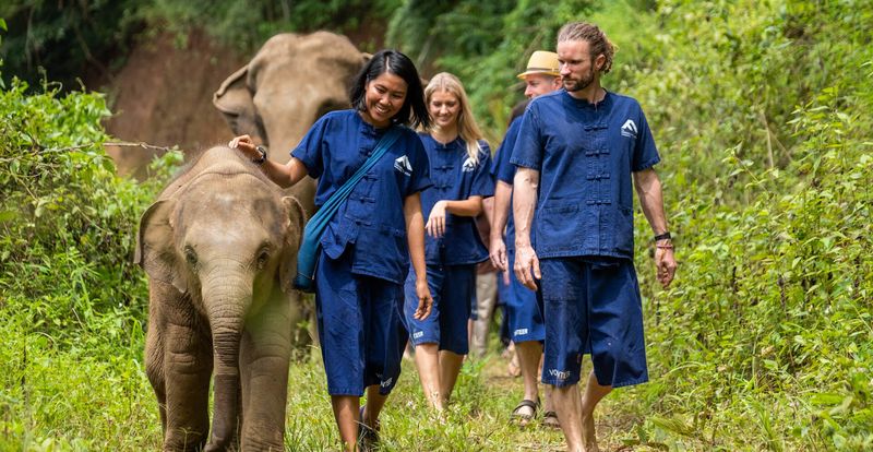 Volunteer for Conservation Programs