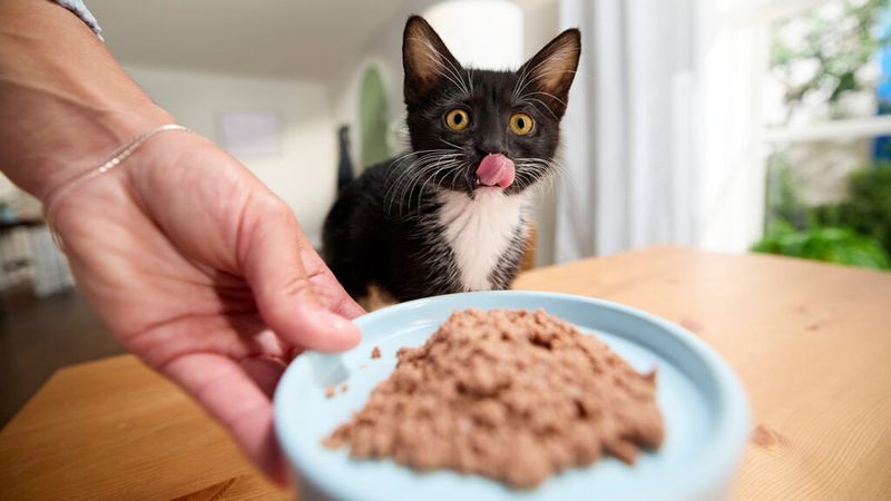 Feeding Routines