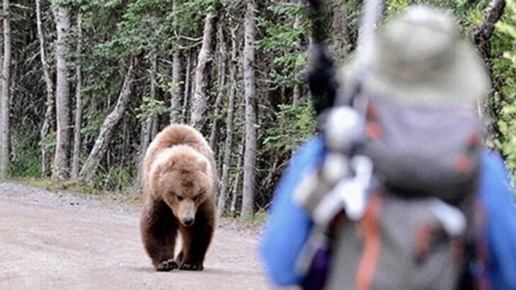 Fear Makes You a Target for These 9 Animals—But 6 Use It in Surprising Ways