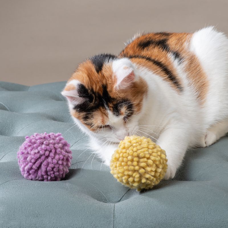 Pom-pom Balls
