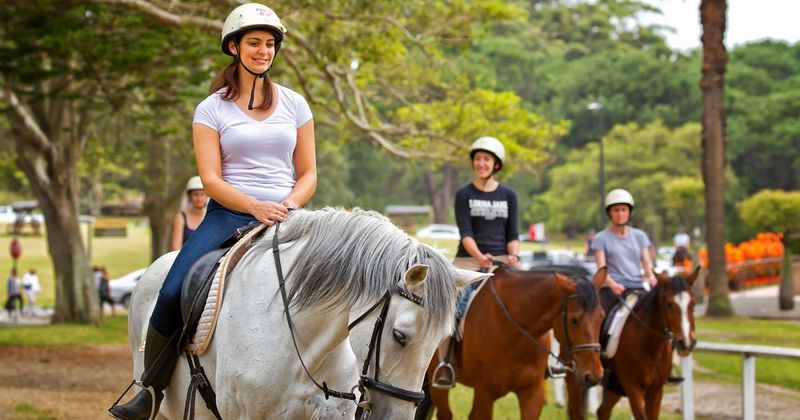 Riding School Teachers