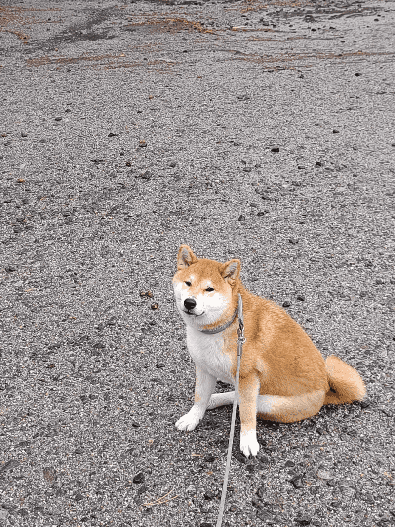 Avoiding Eye Contact