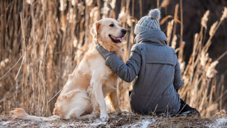 From Stress Relief to Heart Health: 10 Benefits of Having a Pet