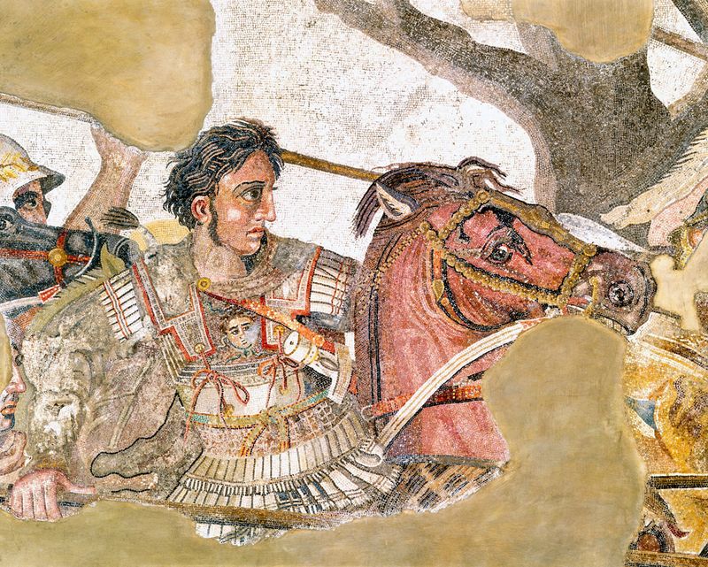Bucephalus (honorary mammal)