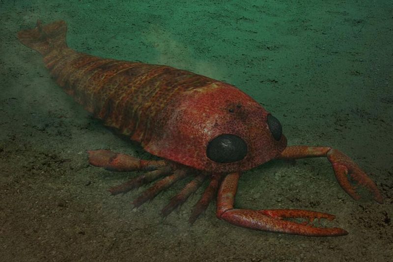 Pterygotus