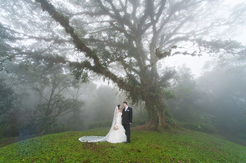 Costa Rica's Cloud Forests