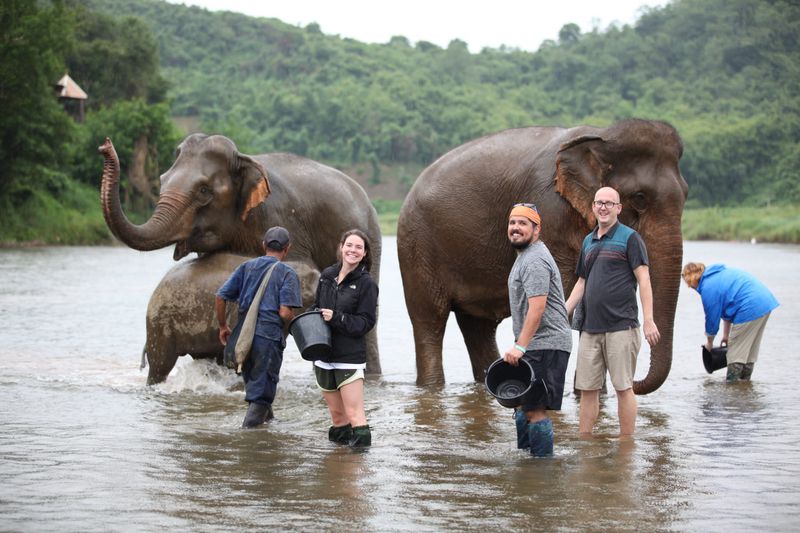 MandaLao Elephant Conservation – Luang Prabang, Laos