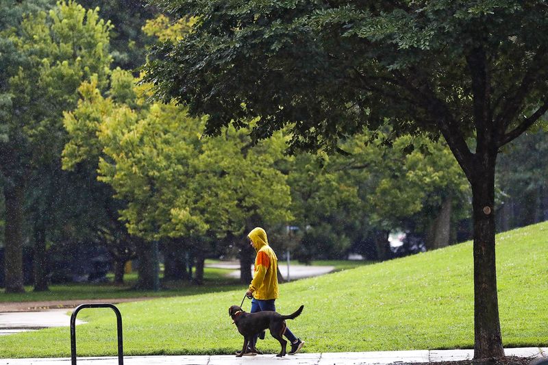 Lincoln Park, Chicago