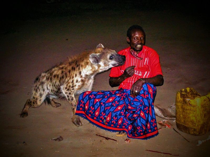 Hyenas