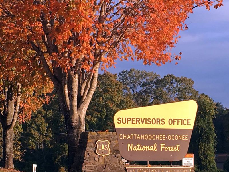 Chattahoochee National Forest, Georgia